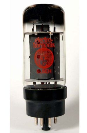 6L6GC Electro Harmonix
