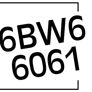 6BW6 6061